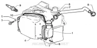 Oil drain valve