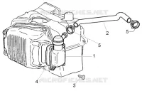 Oil drain valve