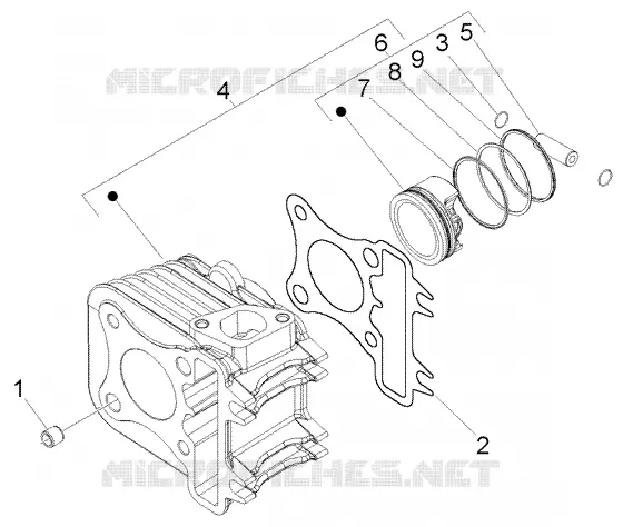 Cylinder-piston-wrist pin, assy