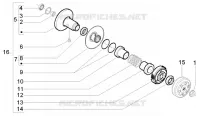 Driven pulley