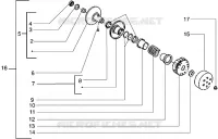 Driven pulley