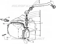 Oil drain valve