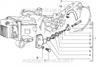 Oil drain valve
