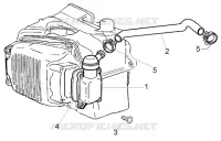 Oil drain valve