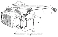 Oil drain valve