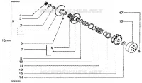 Driven pulley