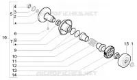 Driven pulley