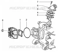 Cylinder head and induction pipe