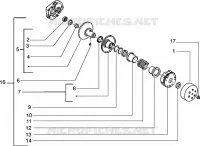 Driven pulley
