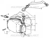 Oil drain valve