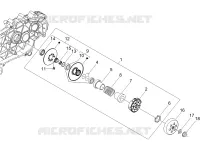 Driven pulley