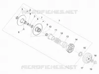 Driven pulley