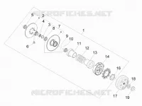 Driven pulley