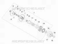 Driven pulley