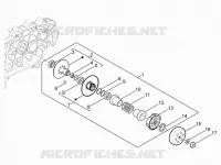 Driven pulley