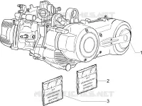 Engine, assembly