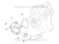 Cooler pump