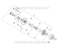 Driven pulley
