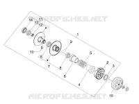 Driven pulley
