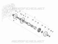 Driven pulley