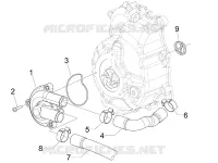 Cooler pump