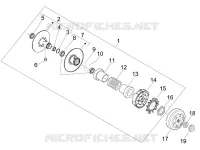 Driven pulley