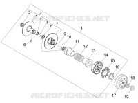 Driven pulley