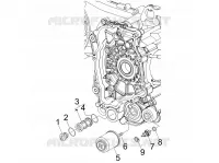 Flywheel magneto cover - Oil filter