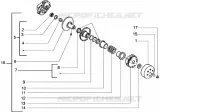 Driven pulley