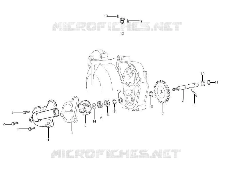 Cooler pump