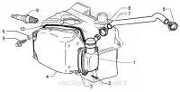 Oil drain valve