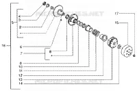 Driven pulley
