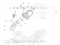 Throttle body - Injector - Inlet manifold