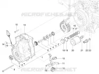 FLYWHEEL COVER - OIL FILTER