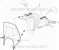 Windshield - Glass