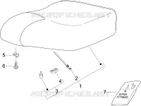 Saddle/seats