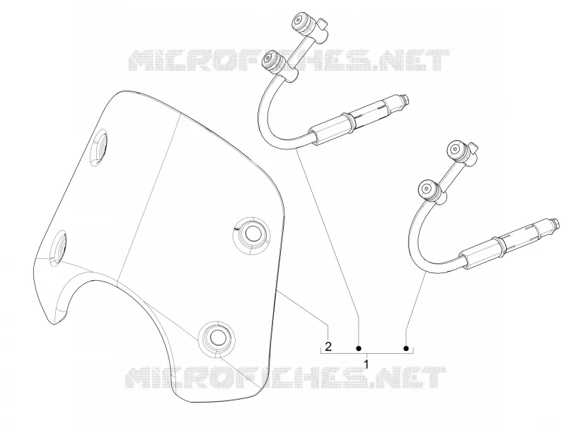 Windshield - Glass