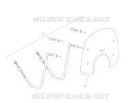 Windshield - Glass