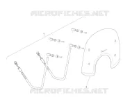 Windshield - Glass