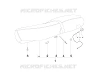 Saddle/seats