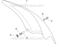 Windshield - Glass