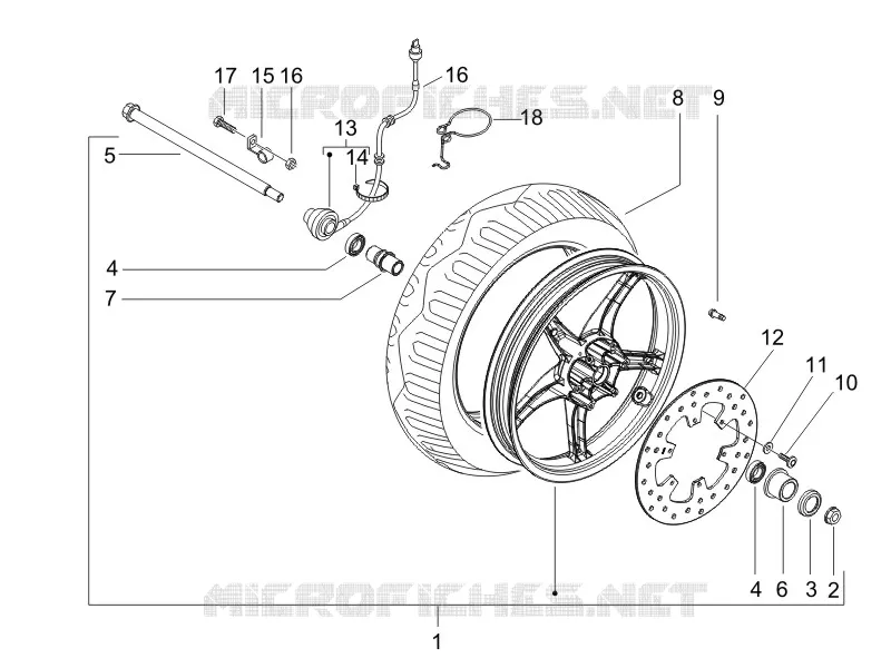 Front wheel