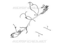 Main cable harness